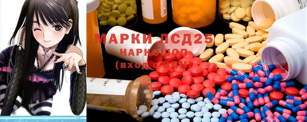 ГАЛЛЮЦИНОГЕННЫЕ ГРИБЫ Балахна