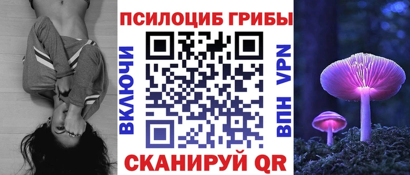 хочу наркоту Заречный Галлюциногенные грибы Cubensis