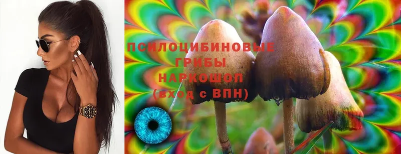 Псилоцибиновые грибы Magic Shrooms  Заречный 