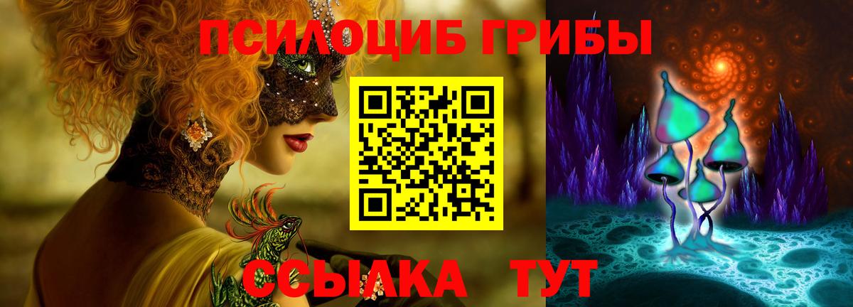 продажа наркотиков  Галлюциногенные грибы Magic Shrooms  Вход с VPN  Галлюциногенные грибы мухоморы  Заречный 
